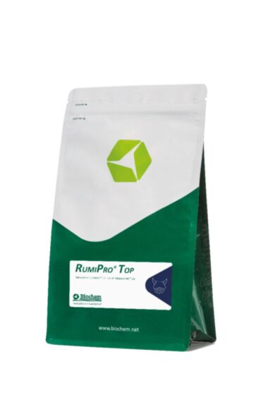 RumiPro Top, 20 kg 