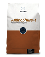 AminoShure L, 20kg