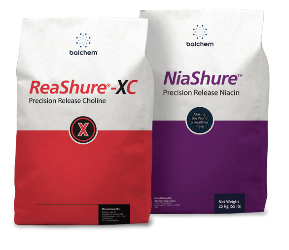 CJELOVITA PREHRANSKA ALTERNATIVA KEXXTONE-U, BEZ ANTIBIOTIKA