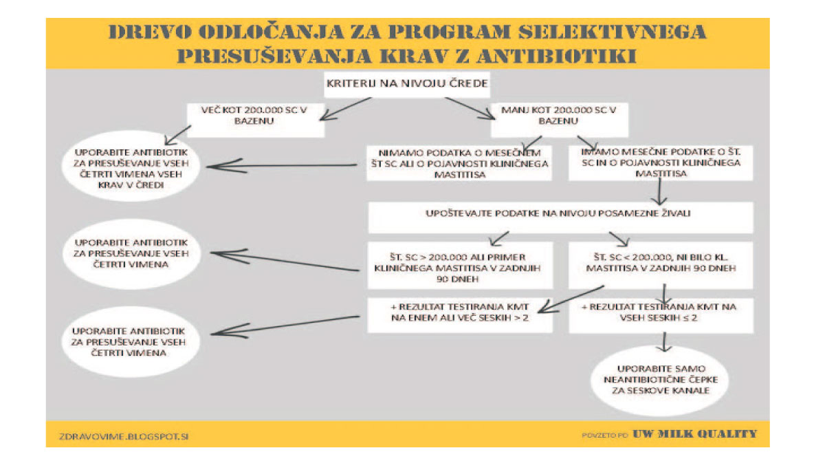 SELEKTIVNO PRESUŠEVANJE Z ANTIBIOTIKI- KAKO SE ODLOČITI KATERO KRAVO OZ. KATERO ČETRT PRESUŠITI Z ANTIBIOTIKOM IN KATERIH NE?