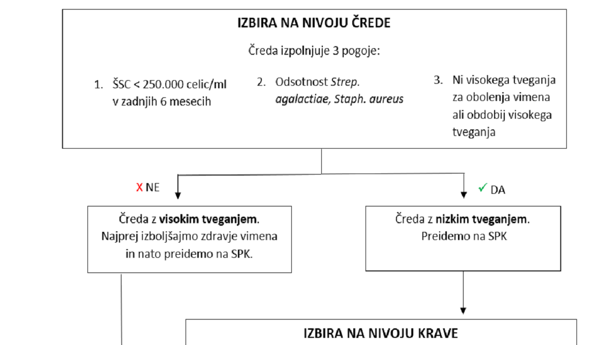 SMERNICE ZA SELEKTIVNO PRESUŠEVANJE KRAV MOLZNIC V SLOVENIJI