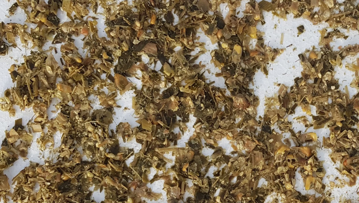 Je li škrob dostupan u Vašoj silaži?