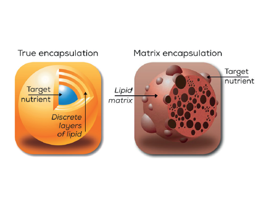 NISU SVI ENKAPSULIRANI PROIZVODI JEDNAKI