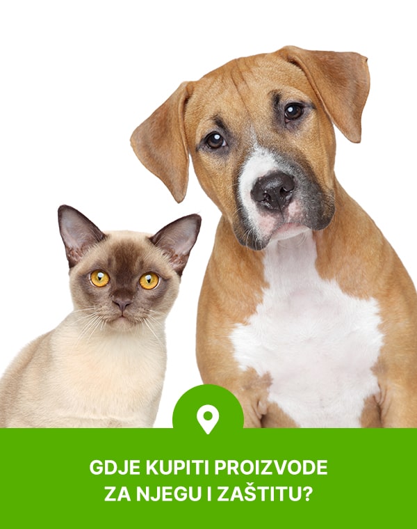 Gdje kupiti proizvode za njegu i zaštitu?
