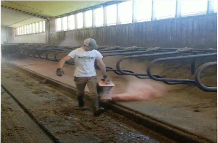 Staldren, baterijski posipač, uporaba kod muznih krava